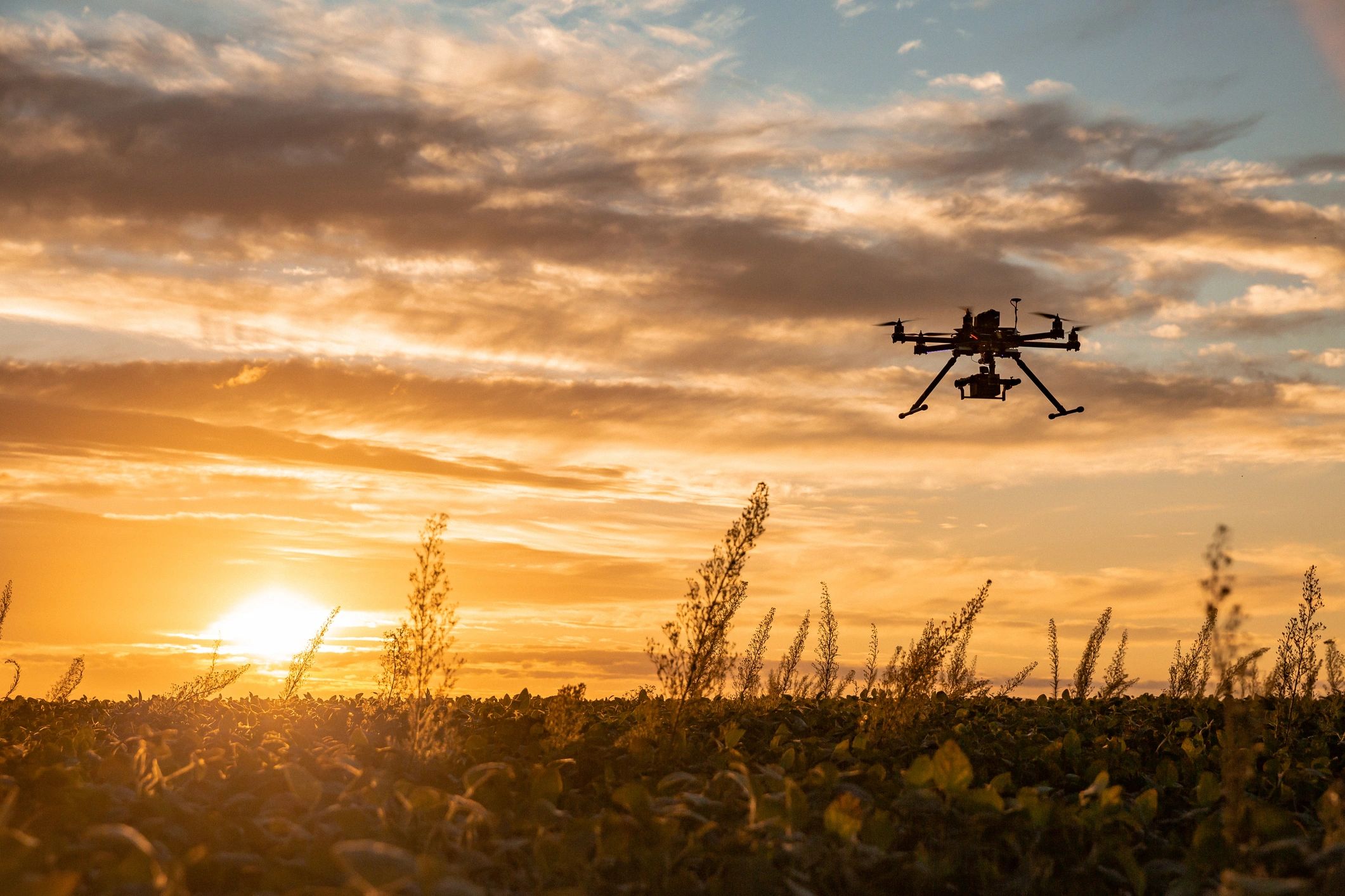Camera drone flying over a field against a golden sunset.